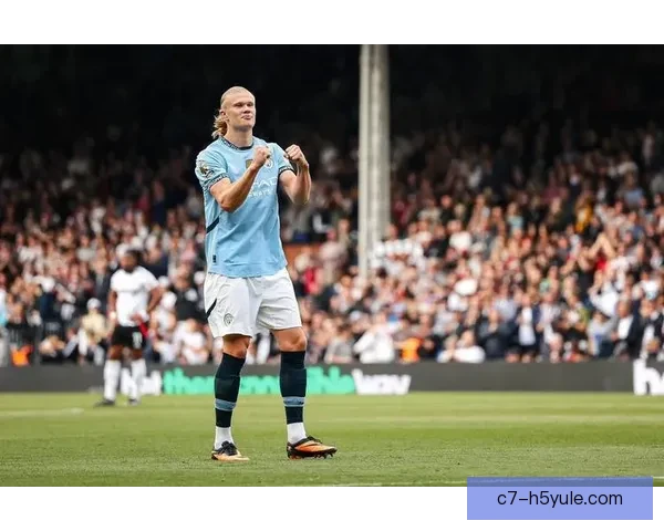 哈兰德点球前紧张但成功控情绪