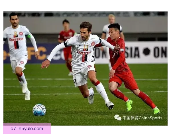 上海连胜显锋芒小偰引领全队